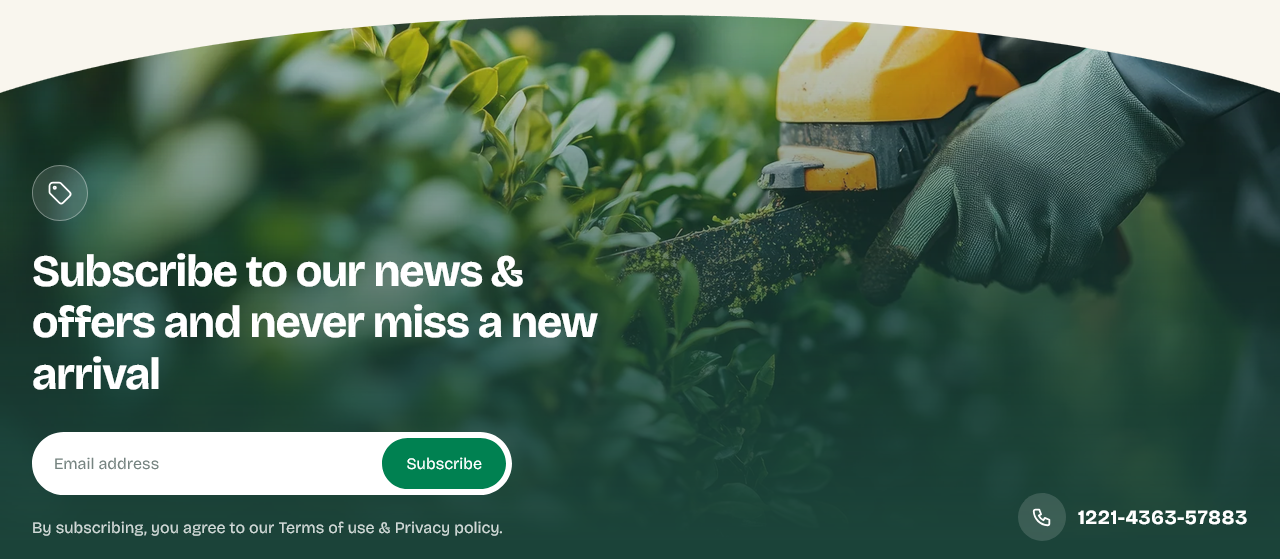 Newsletter banner