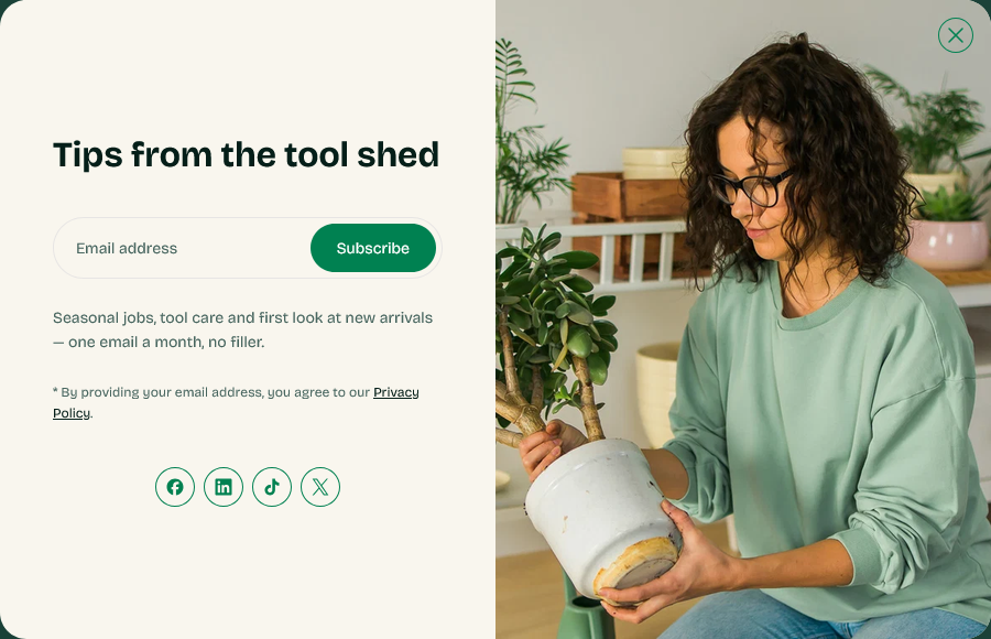 Newsletter popup